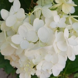 Meet your Posher, Gail